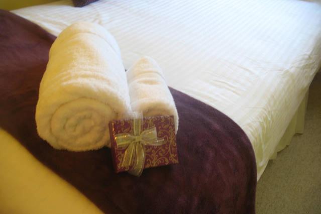 The Holly Tree Bed & Breakfast Cambridge  Ngoại thất bức ảnh